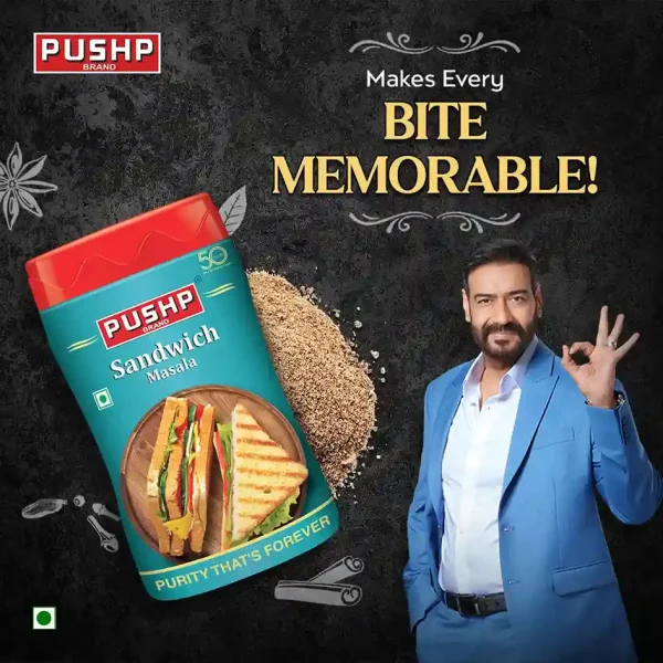 Sandwich Masala 100g Sprinkler
