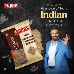 Jeera (Cumin Seeds Whole)