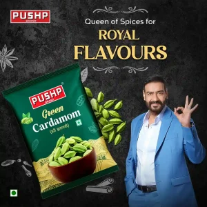 Green Cardamom (Hari Elaichi)